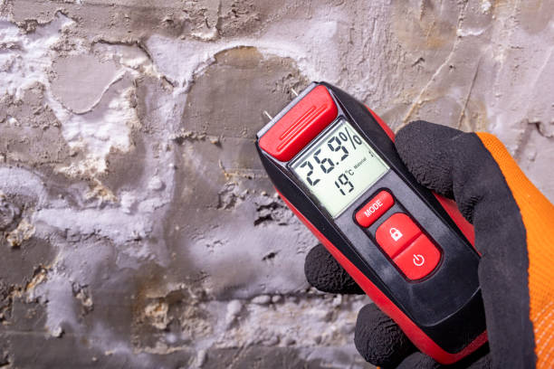 Best Attic Mold Removal  in Tehachapi, CA