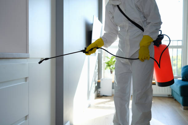 Best Mold Removal Process  in Tehachapi, CA
